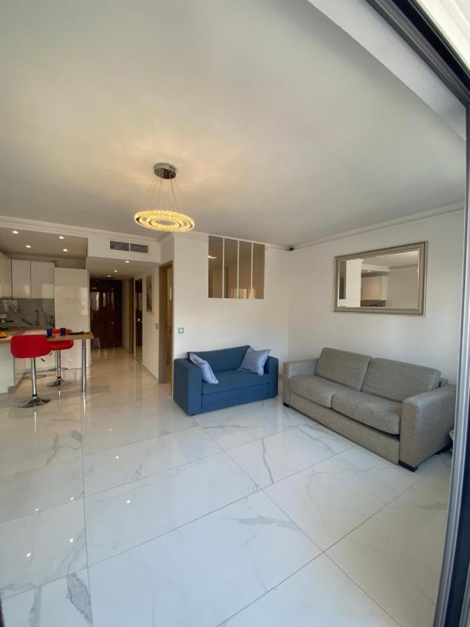 Le Royal, Spacious Seaside Apartment Rooftop And Pool Niza Exterior foto