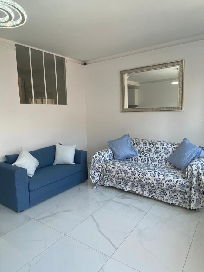Le Royal, Spacious Seaside Apartment Rooftop And Pool Niza Exterior foto
